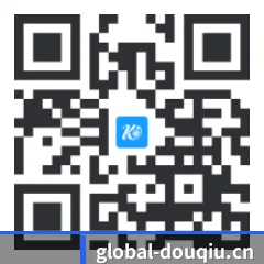 苹果版 iOS 二维码